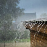 barish 2