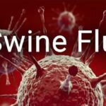 SEINE FLU